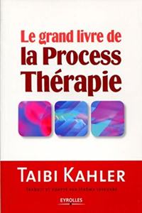 grand livre de la process thérapie