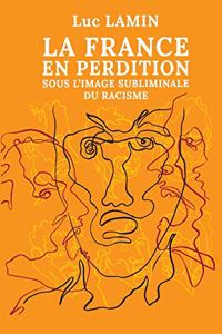 La France en perdition sous l'image subliminale du racisme