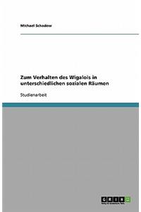 Zum Verhalten Des Wigalois in Unterschiedlichen Sozialen Räumen