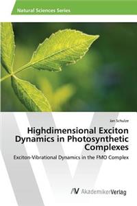 Highdimensional Exciton Dynamics in Photosynthetic Complexes