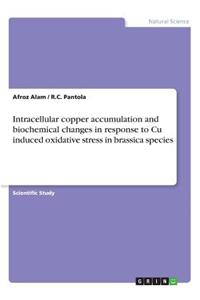 Intracellular copper accumulation and biochemical changes in response to Cu induced oxidative stress in brassica species