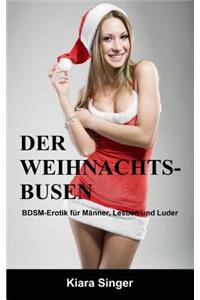 Weihnachtsbusen