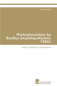 Phytostimulation by Bacillus amyloliquefaciens FZB42