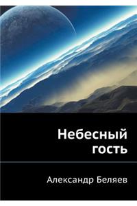 Небесный гость