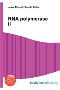 RNA Polymerase II