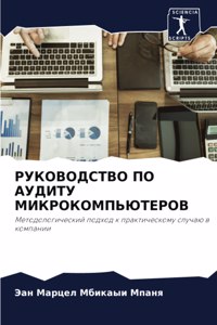 РУКОВОДСТВО ПО АУДИТУ МИКРОКОМПЬЮТЕРОВ