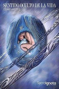 Sentido oculto de la vida (Spanish Edition)
