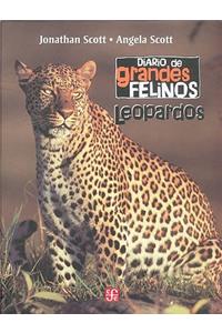 Leopardos