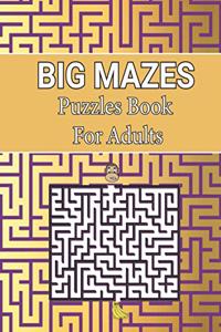 Big Mazes Puzzles Book For Adults: Two-Player Mazes Activity Book for Kids Circle, Adult Mazes Puzzle Book with 150 Hard to solve Square Level Mazes Books