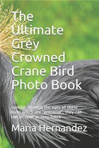 The Ultimate Grey Crowned Crane Bird Photo Book