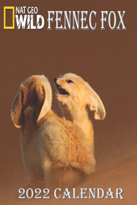 Fennec Fox Calendar 2022: FENNEC FOX calendar 2022 "8.5x8.5" Inch 16 Months JAN 2022 TO APR 2023 finished and Glossy