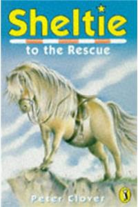 Sheltie to the Rescue
