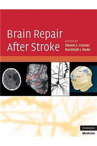 Brain Repair After Stroke