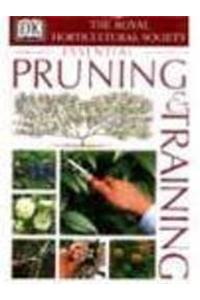 RHS Pruning and Training