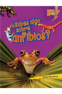 ¿sabes Algo Sobre Anfibios? (Do You Know about Amphibians?)