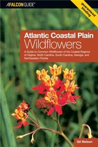 Atlantic Coastal Plain Wildflowers