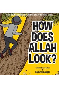 How Does Allah Look?