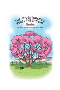 Adventures of Henry the City Cat