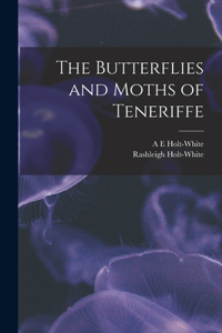 Butterflies and Moths of Teneriffe