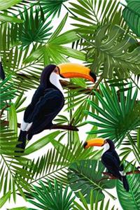 Tropical Toucans