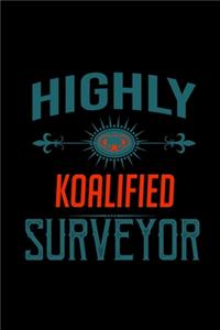 Highly koalified surveyor
