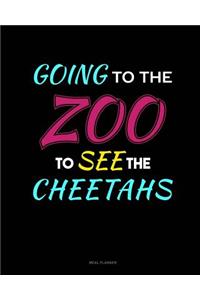 Going to the Zoo to See the Cheetahs