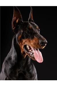 Doberman Pinscher Notebook