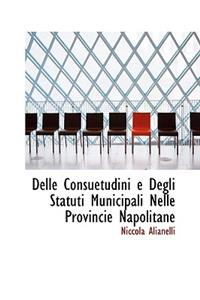 Delle Consuetudini E Degli Statuti Municipali Nelle Provincie Napolitane
