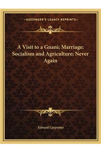A Visit to a Gnani; Marriage; Socialism and Agriculture; Never Again