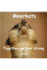 Meerkats - Together We are Strong 2018 2018