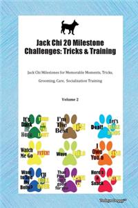 Jack Chi 20 Milestone Challenges