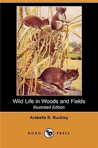 Wild Life in Woods and Fields (Illustrated Edition) (Dodo Press)