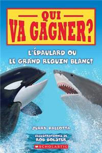 Qui Va Gagner? l'Épaulard Ou Le Grand Requin Blanc?