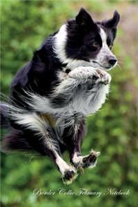 Border Collie February Notebook Border Collie Record, Log, Diary, Special Memories, To Do List, Academic Notepad, Scrapbook & More