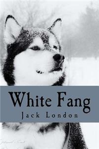 White Fang