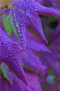 Journal Pretty Purple Leaves