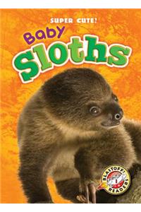 Baby Sloths