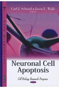 Neuronal Cell Apoptosis
