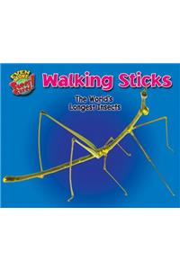 Walking Sticks