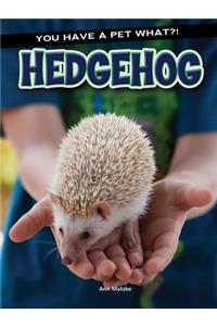 Hedgehog