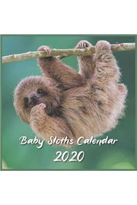Baby Sloths calendar 2020