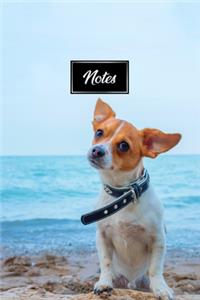 Chihuahua Dog Pup Puppy Doggie Notebook Bullet Journal Diary Composition Book Notepad - Walk by Ocean