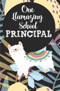 One llamazing School Principal