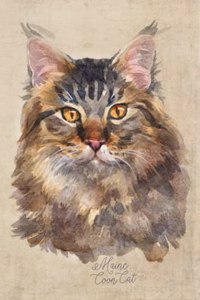 Maine Coon Cat Portrait Notebook