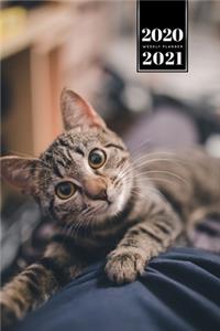 ????? ?? ??? ?? ?? ????? ??? 2020 - 2021 A5 ??????? &