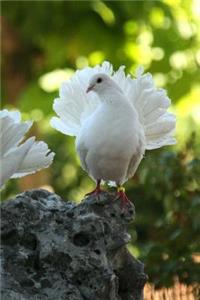 Dove Notebook