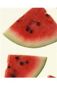 Food School Composition Book Juicy Watermelon Slices Book 130 Pages