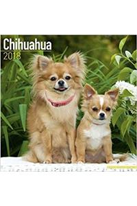 Chihuahua Calendar 2018