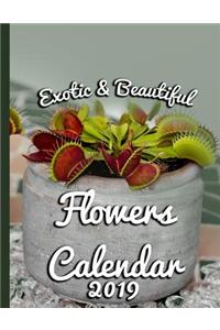 Exotic & Beautiful Flowers