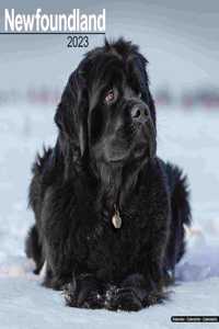 Newfoundland 2023 Wall Calendar